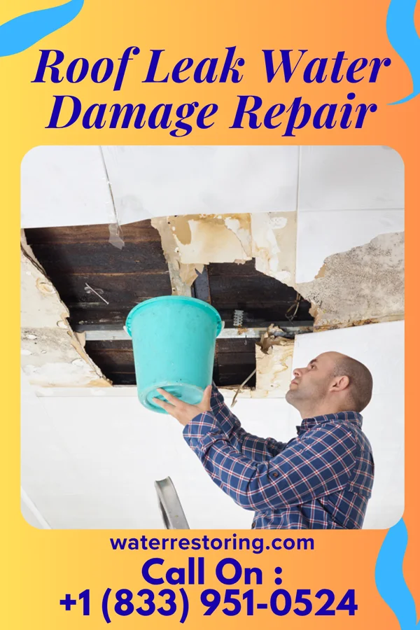 Roof Leak Water Damage Repair in Wallenpaupack Lake Estates, PA