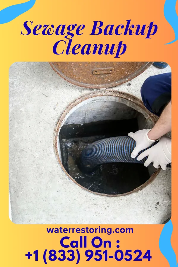 Sewage Backup Cleanup in Wallenpaupack Lake Estates, PA