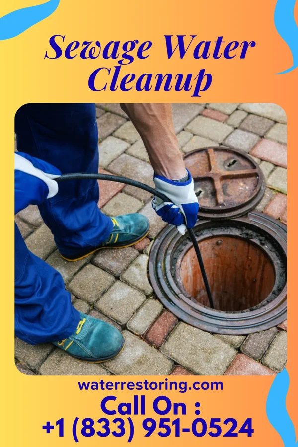 Sewage Water Cleanup in Wallenpaupack Lake Estates, PA