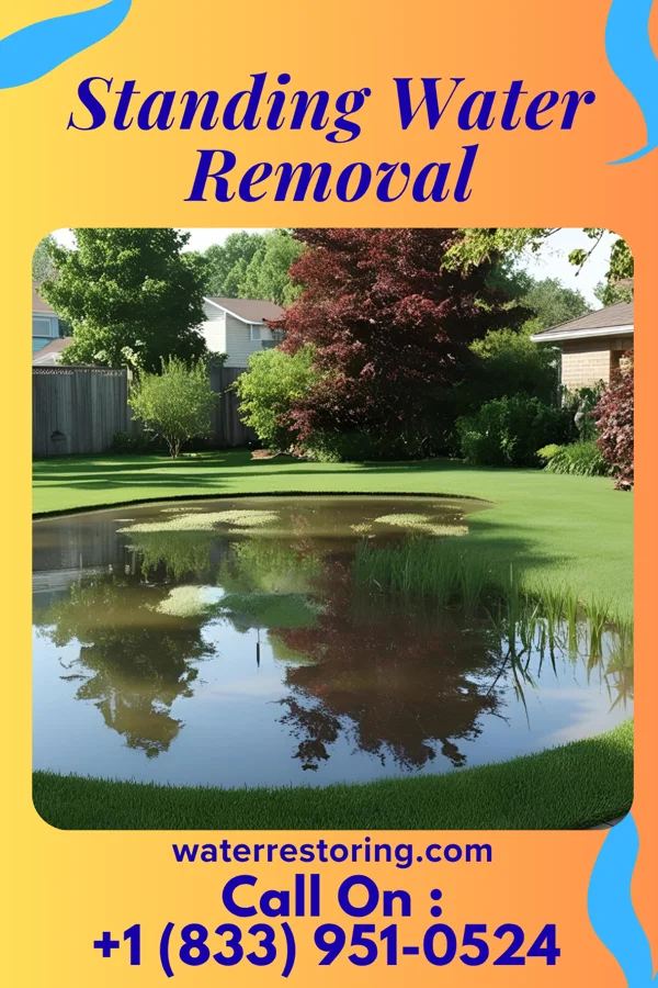 Standing Water Removal in Wallenpaupack Lake Estates, PA